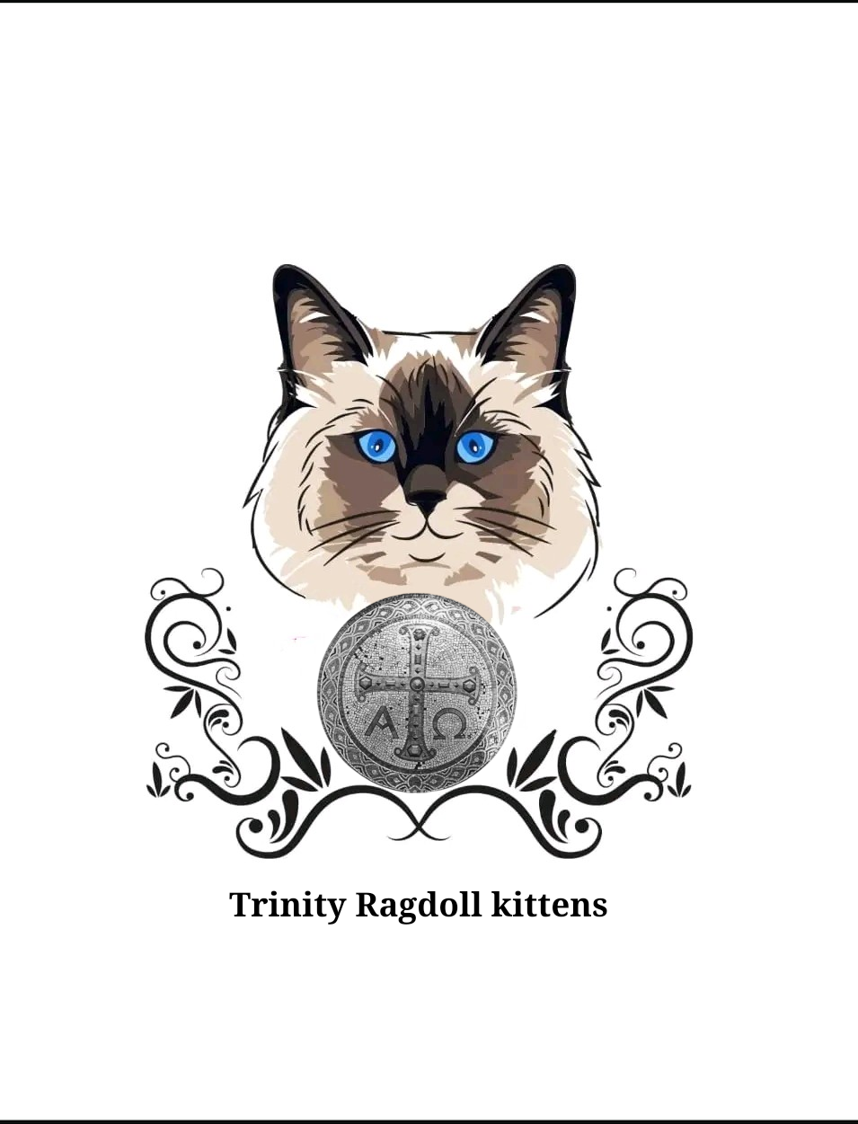 Trinity Ragdoll Kittens